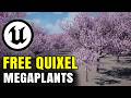 FREE Quixel MegaPlants Sample Project | Unreal Engine 5.7