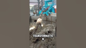 Heb je ooit gezien hoe het recyclen van karton echt begint?