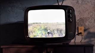 Old Tv Stuns With Dancing Man U0026 Back To The Future Vibe shorts