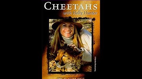 Opening & Closing to In the Wild: Cheetahs with Holly Hunter 1997 VHS (1998 Reprint)