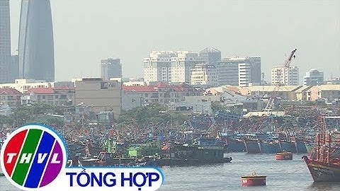 THVL | Quá tải tại Âu thuyền Thọ Quang ở Đà Nẵng