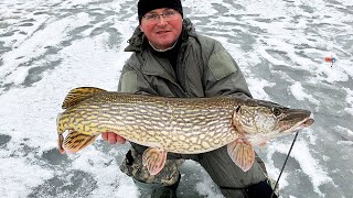 Щука на балансир для новичков. Декабрь 2018 Щука на балансир для новичков. Декабрь 2018