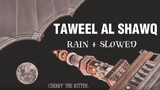 TAWEEL AL SHAWQ [ Rain + Slowed ] #cherrythekitten #relaxingnasheed #subscribe by Cherry the kitten.  911 views 7 months ago 6 minutes, 59 seconds