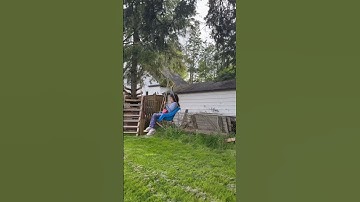 Backyard Zipline DIY… please like and subscribe :)  #fun  #shortsfeed  #zipline #shorts