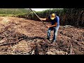 Cultivando caña de Azúcar en el estado de Morelos (Destronque al ras de suelo)