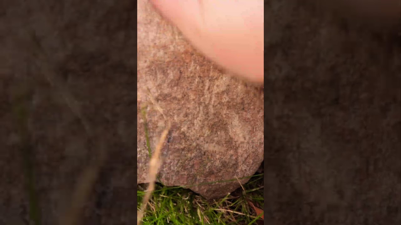 ASMR rock massage inspired by@whispersoft #asmr #asmrvideo #shorts #asmrcommunity #inspired #relax