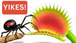 1000 Crickets vs Venus Flytrap — You Won’t Believe Who Wins This Battle of Nature! 🌿🦗