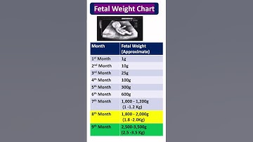 Fetal Weight Growth Chart Month by Month | Pregnancy Fetal Development Guide