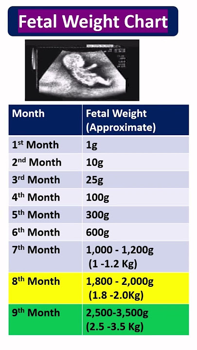 Fetal Weight Growth Chart Month by Month | Pregnancy Fetal Development Guide