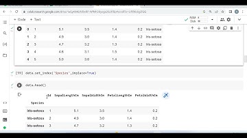 Set Index and Reset Index in Pandas