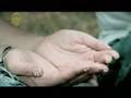 王子变青蛙MV精选 真爱 MV 王子变青蛙MV精选 真爱 MV
