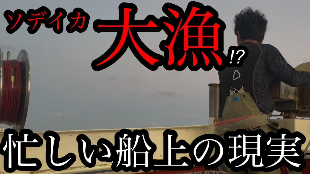 ソデイカ大漁で忙しい船上のリアルを撮影したはずが、、、