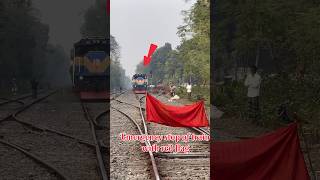 Emergency stop of train with red flag #shortsvideo #shortvideo #shorts #short