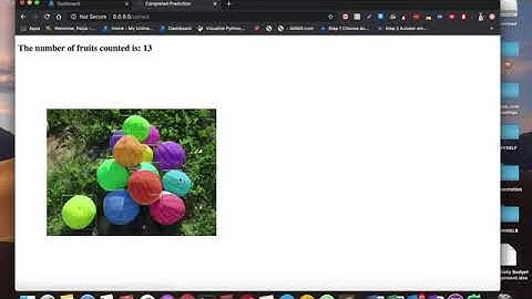 Fruit Counting Web App - Peijia Long