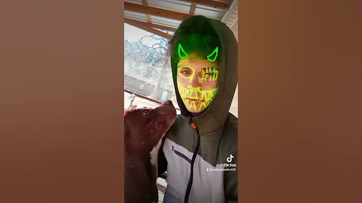 we need to hit that like button and subscribe