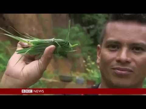 Our World  Going Hungry In Venezuela BBC Documentary 2016