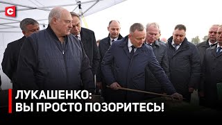 картинка: Лукашенко: ОБНАГЛЕЛИ ДО КРАЙНЕЙ СТЕПЕНИ! | Президент на птицефабрике