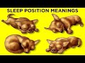 आपके कुत्ते के सोने के तरीके से खुलते हैं उनके राज़ | What Your Dog’s Sleeping Position Reveals