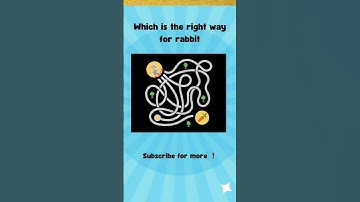 Can you find the right path ❓#shorts #ytshorts #puzzle