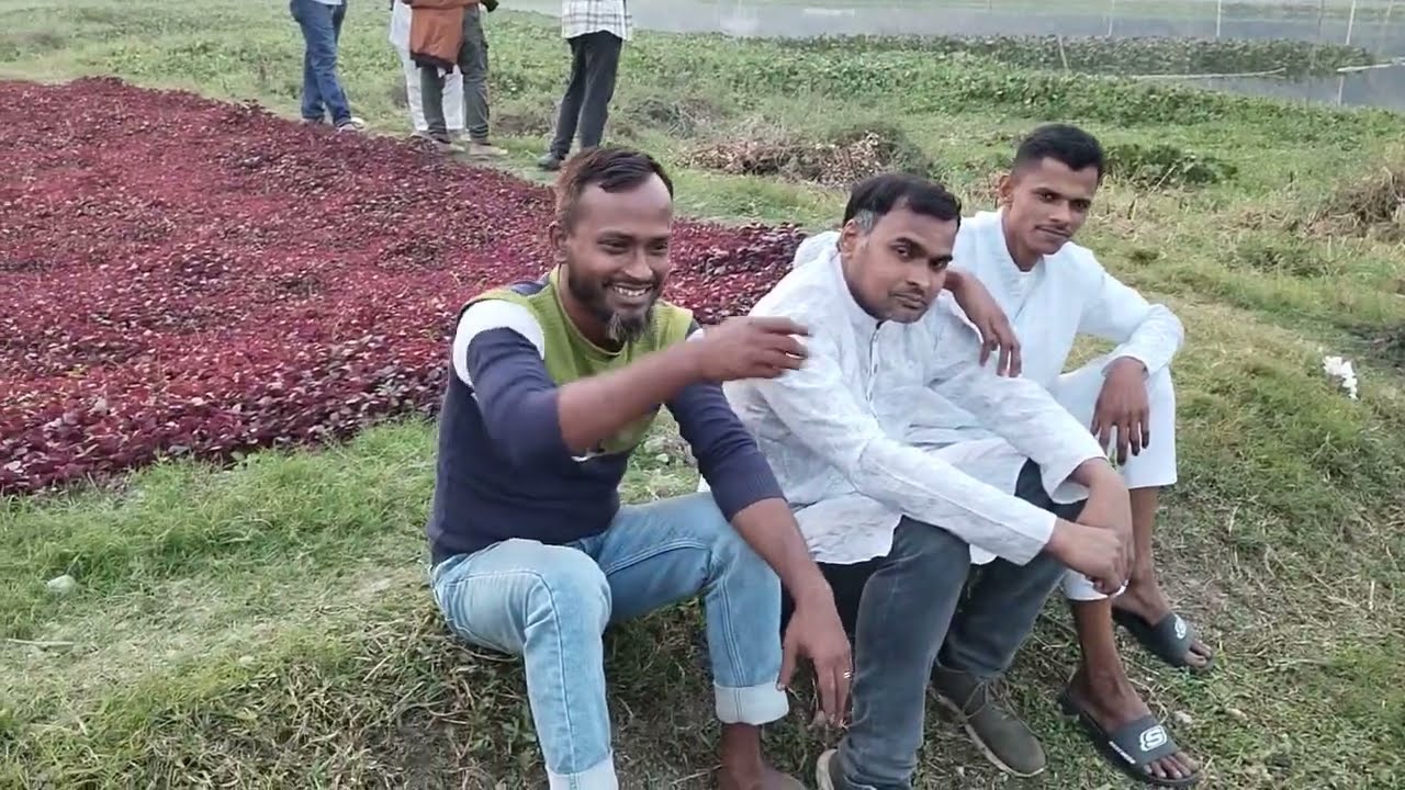 #nature ?ঢাকার পাশেই নাজিরপুর।সেই লেক। Traveling from Dhaka nazirpur Leck#short