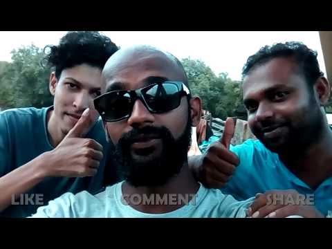 Waking Grunt - The Matka Anthem (Shape Of You Parody)