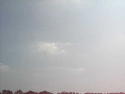 Pitts Python