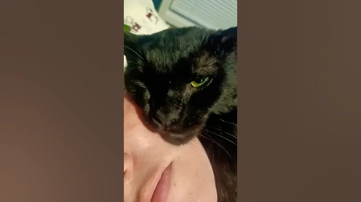 #Love