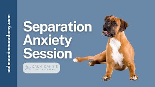 Separation Anxiety Treatment: Systematic Desensitization