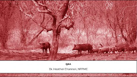 Q&A Paul Hodges - stakeholder forum March 2023