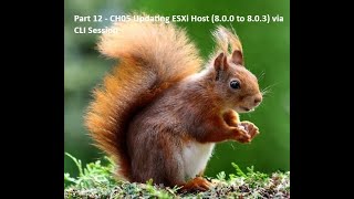 Part 12 - CH05 Updating ESXi Host (8.0.0 to 8.0.3) via CLI Session