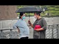 Pregnant Woman's Umbrella Is Broken on a Rainy Day | Social  Experiment 雨天看到孕妇的伞坏了，有陌生人直接把自己的伞递给了她