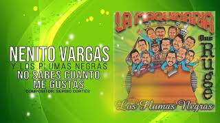 Video thumbnail of "NO SABES CUANTO ME GUSTAS - NENITO VARGAS Y LOS PLUMAS NEGRAS"