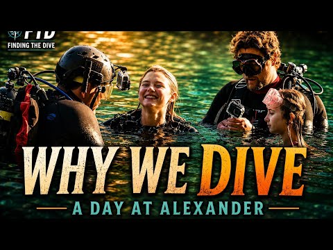 A Day at Alexander Springs