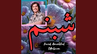 Shabnam - Javed Amirkhel