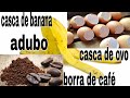 Esse adubo líquido vai ressucitar sua planta. (Adubo líquido milagroso)🍌☕🍳