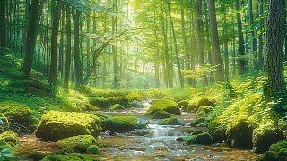 Beautiful relaxing music  stop thinking, music to relieve stress