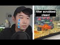 55 fish tank makeover  fish tank review 189