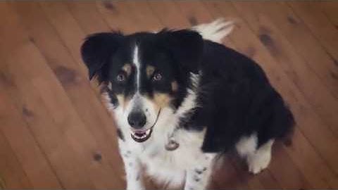 ADT Security - Interactive Security