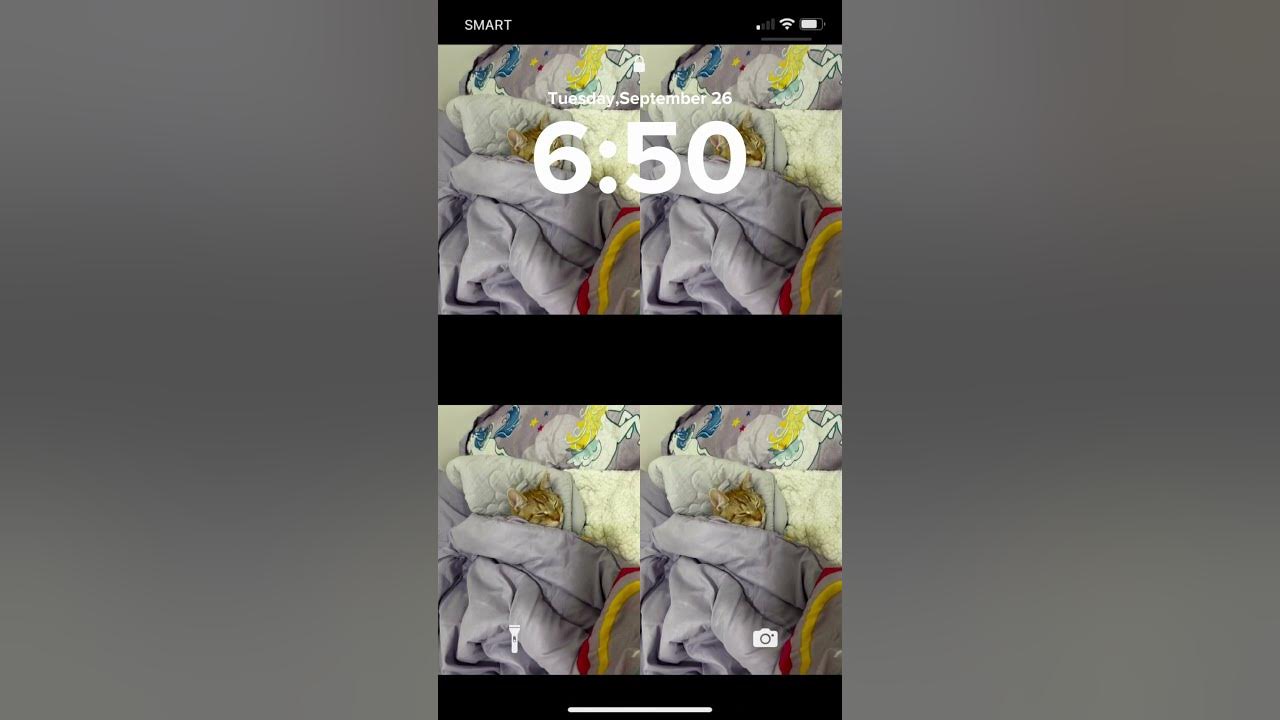 Why my wallpaper is so weird??? Well …🥹🧡🐈 sometimes alone sometimes I’m