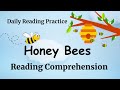 Reading Comprehension | Daily Reading Practice | Honey Bees