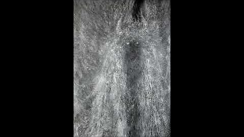 THE BLACKSHIFT / WYLLYLL