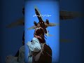 حابب المكتوب وراضي رامي جما اكسبلور اهميه تصميمي قبلت حالات واتس حابب المكتوب وراضي رامي جما اكسبلور اهميه تصميمي قبلت حالات واتس