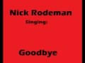 Nick Rodeman - goodbye