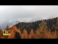 3 Hours of Enchanting Autumn Nature Scenes - Relaxing Piano Music for Stress Relief