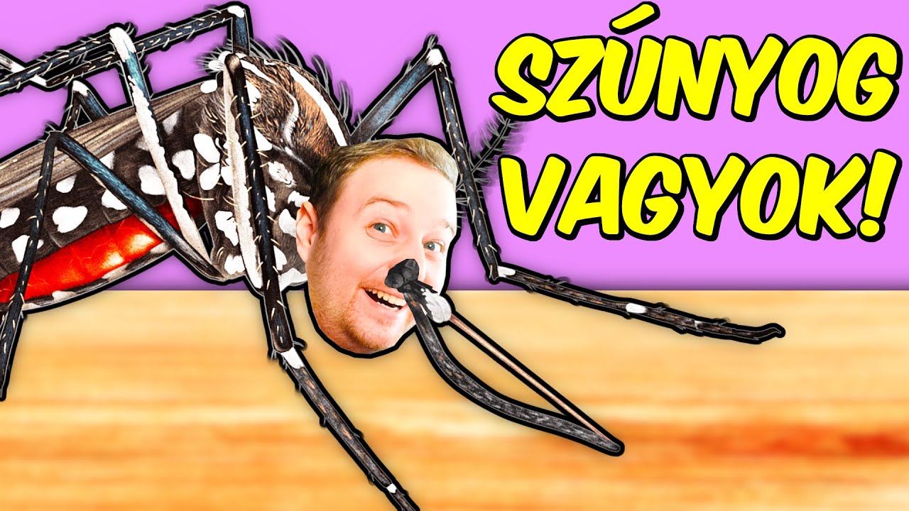 ZZZZZZzzZZZzZZZZZzzzZZZZZzzZZZZ ! - Szúnyog lettem