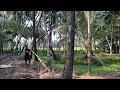 90_s_Story is live! തെങ്ങ് കയറ്റം കണ്ടിട്ടുണ്ടോ ?😄