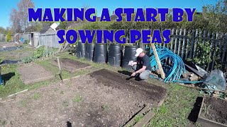Sowing peas and more by Wayne's Allotment 175 views 1 year ago 19 minutes