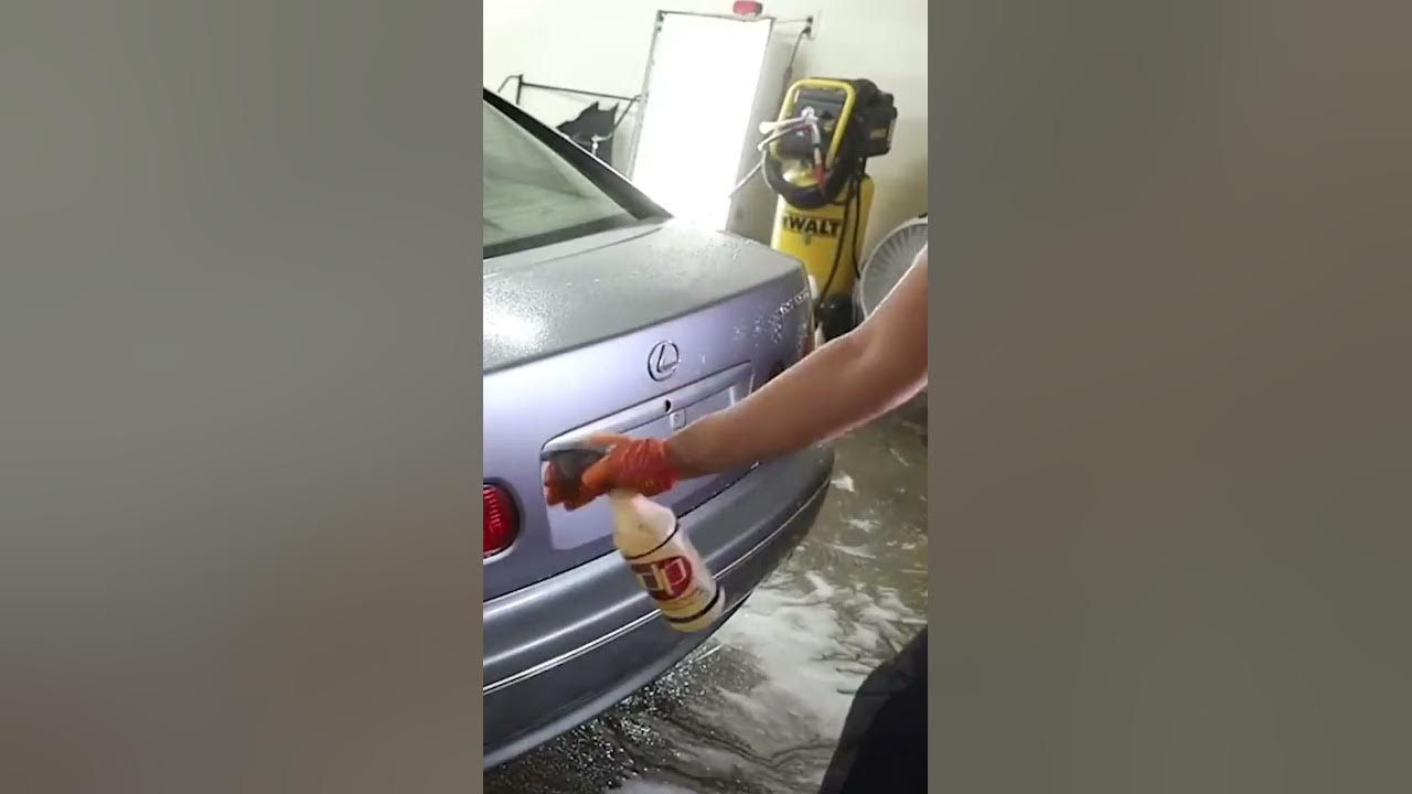 How A Moldy Car Gets Professionally Deep Cleaned #detailing #cars #