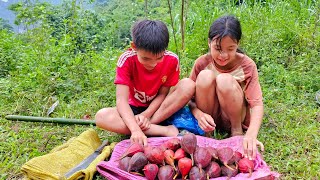 A homeless boy and a poor girl pick forest fruits and sell them for a living - Homeless Boy