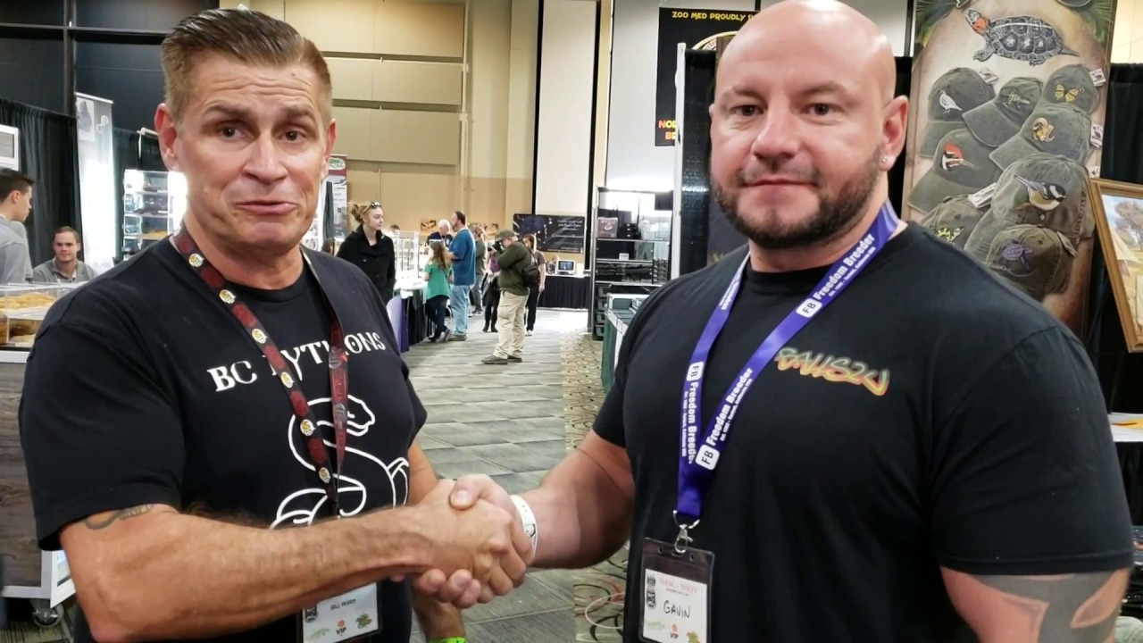 pythons for sale NARBC Tinley Park Part 2 The Interviews #narbc #tinleypark